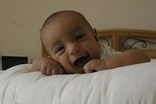 Milo is three months old