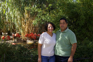 My parents came to visit us.