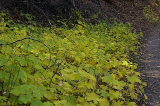 Pictures are worth more than a 1000 words.