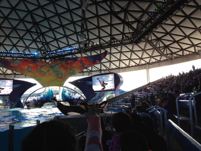 Sea world. End of day one